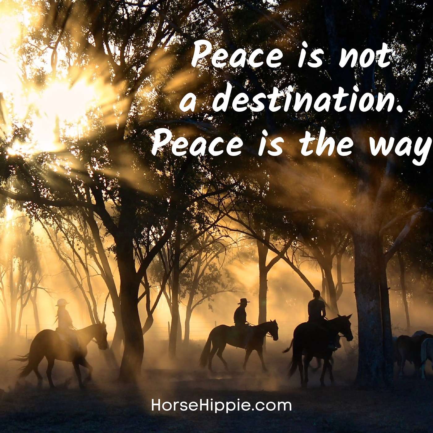 Walk for Peace Monks Walk for Peace Monks