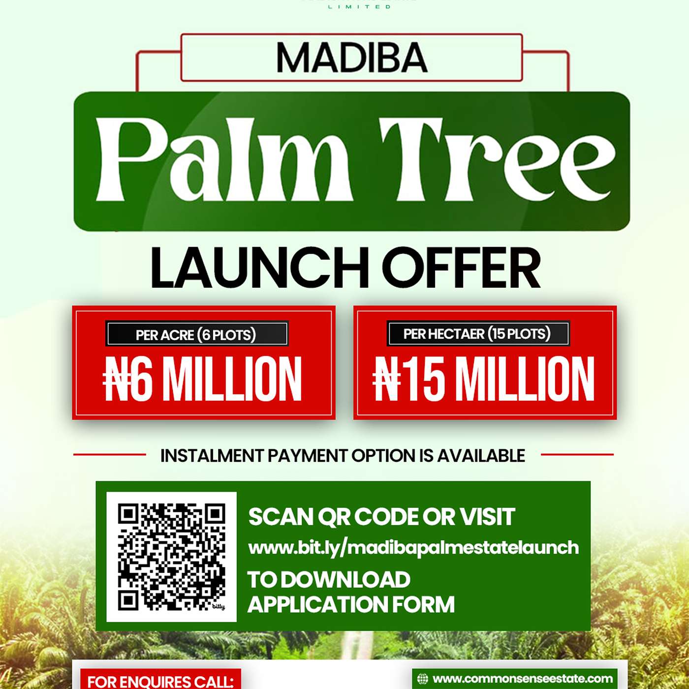 Madiba Palm Tree Farm