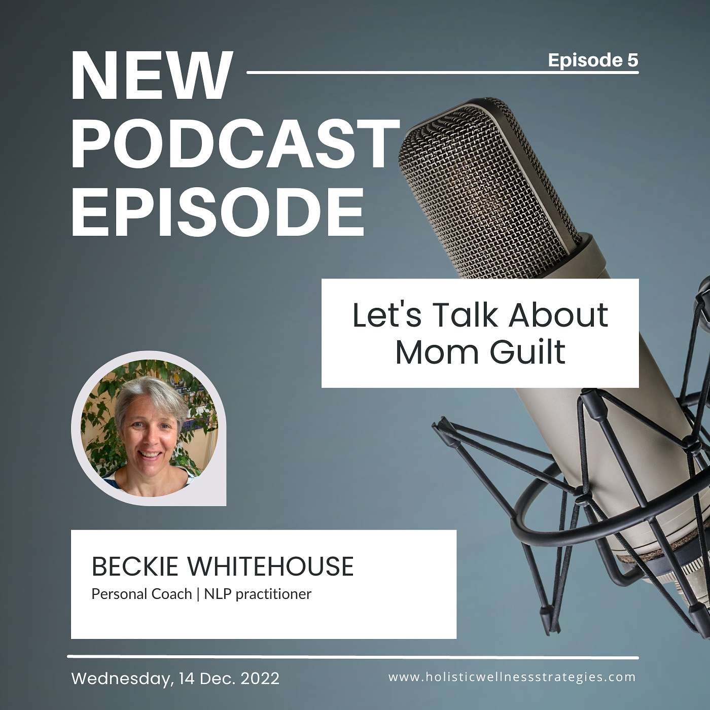 The Mental Health & Wellness Show