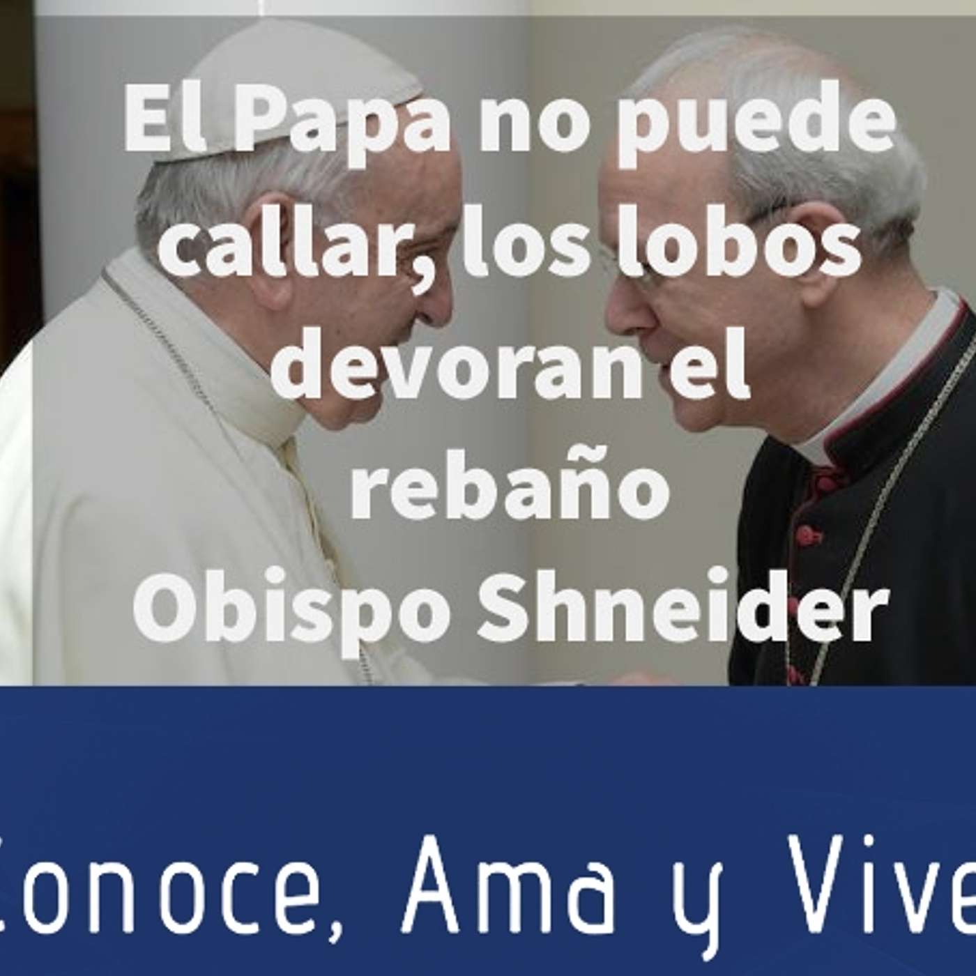 Episodio 176: 😲 El Papa no puede callar, los lobos devoran el rebaño dice Obispo Shneider 🛐 episode artwork