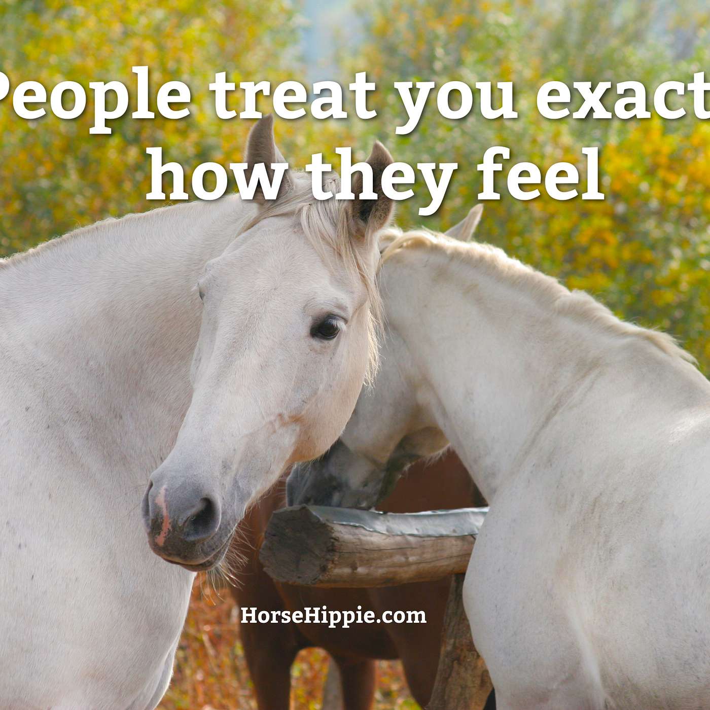 Don’t Ignore Red Flags