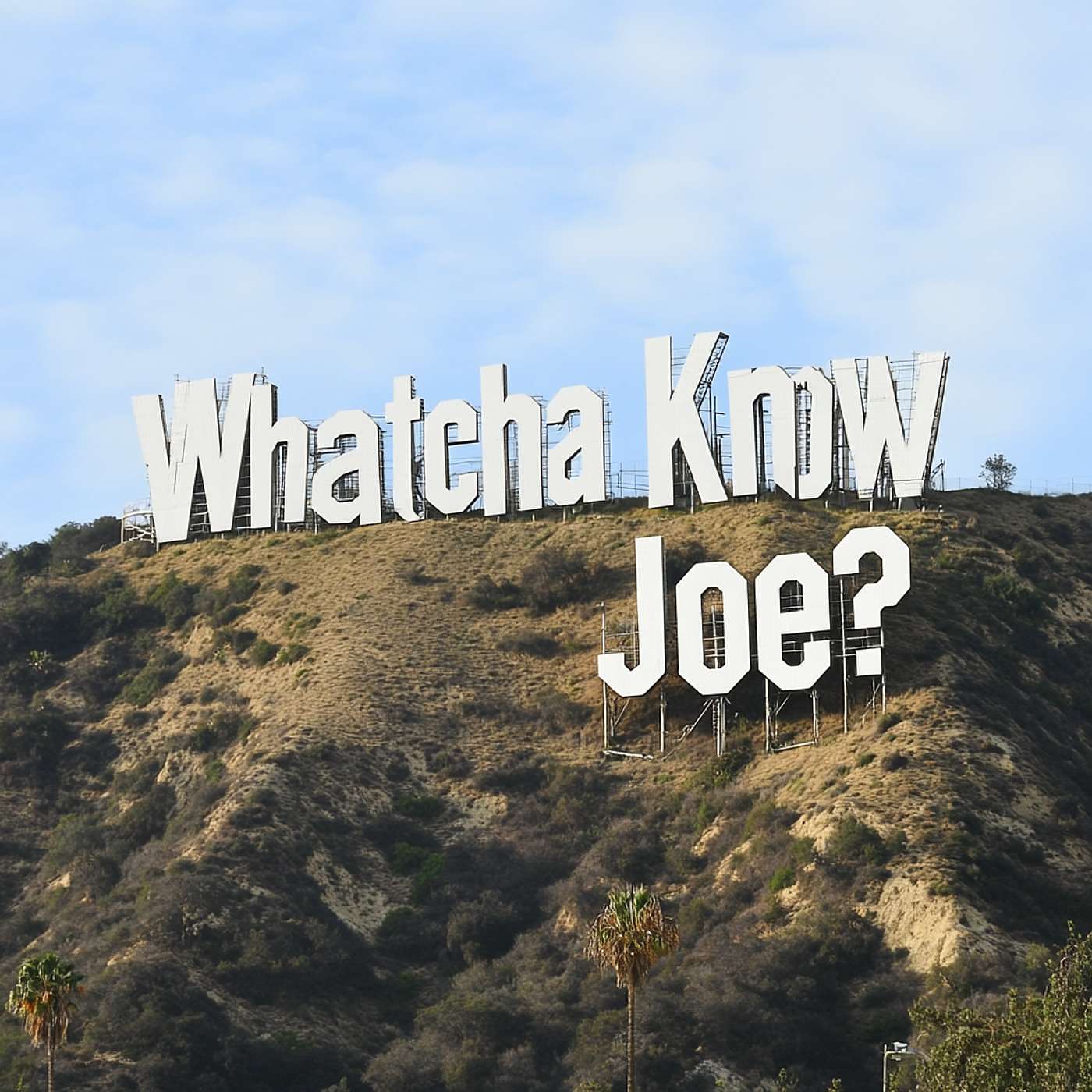 Whatcha Know Joe? cover art