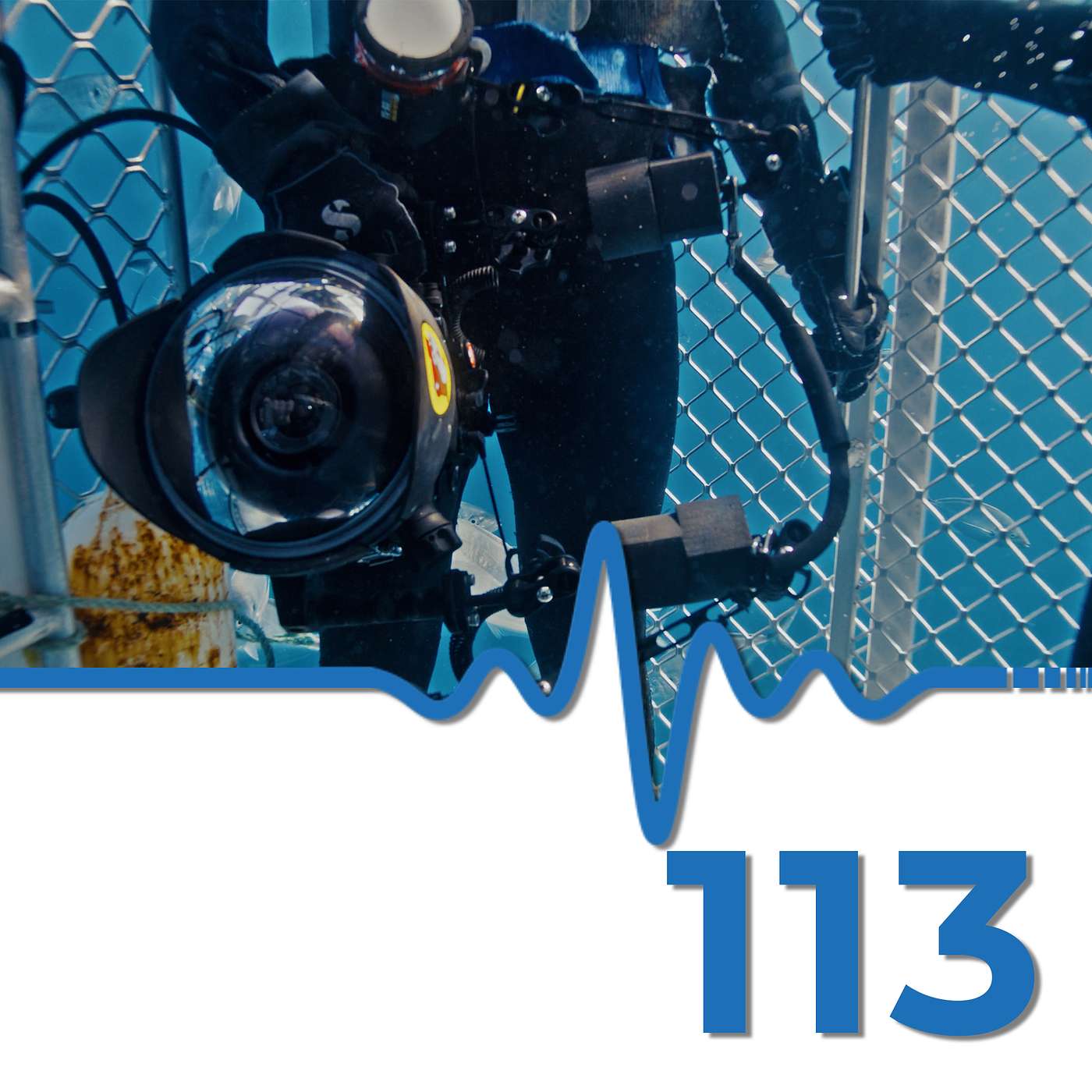 Thailand Restricts Underwater Cameras #scubadiving #podcast