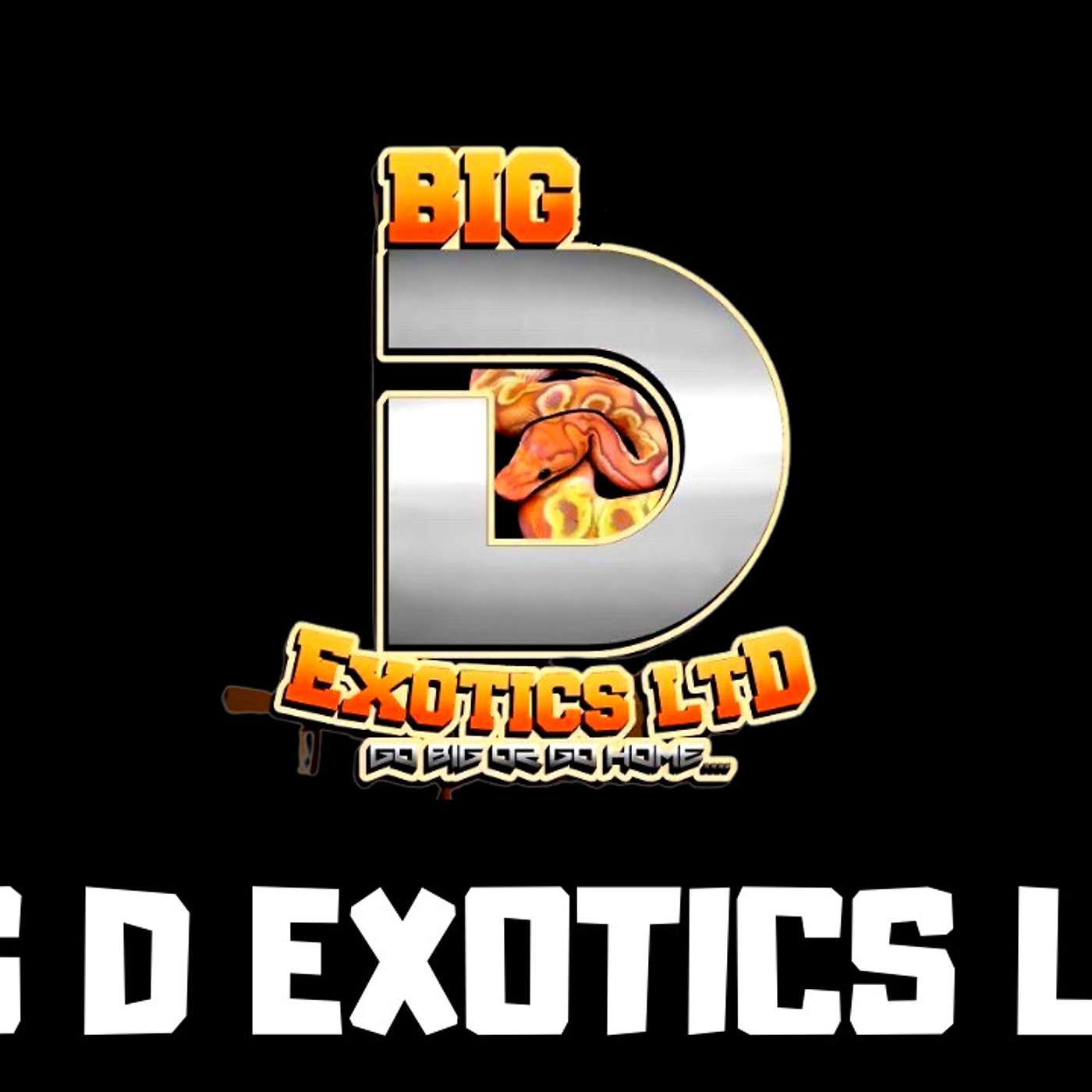 #122 DAN OF BIG D EXOTICS LTD | BALL PYTHONS CANADA | BLOOD PYTHONS | TRAP TALK WITH MJ