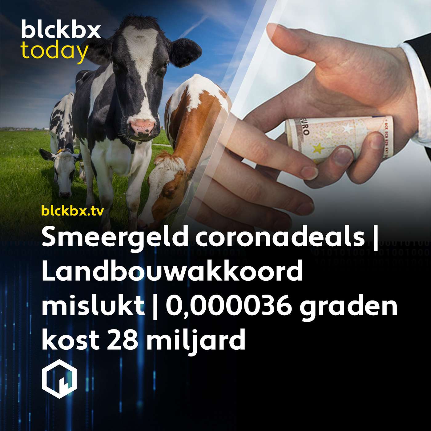 blckbx.tv