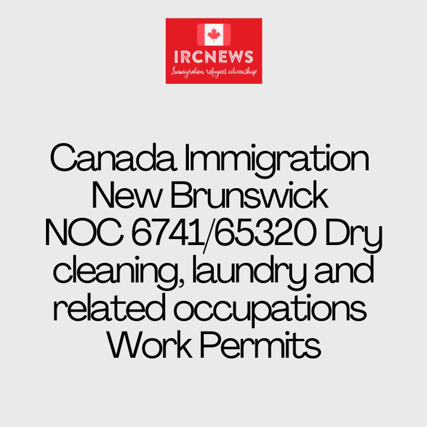 Canada Immigration New Brunswick NOC 6741/65320 Dry cleaning, laundry and related occupations Work Permits episode artwork