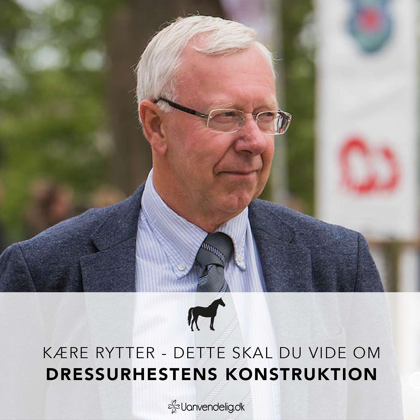 Uanvendelig eller Ridehest