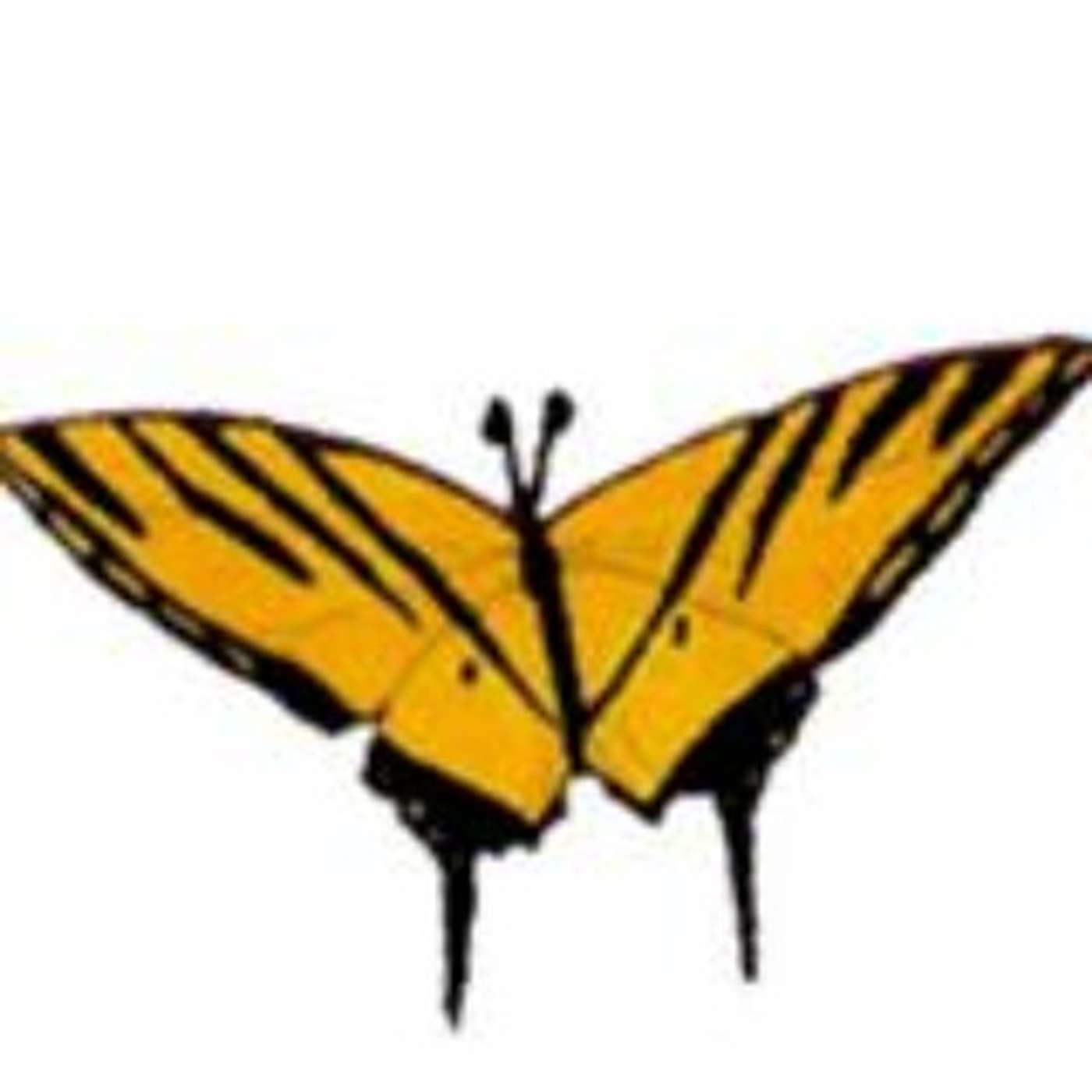 Magasinet Friskolen - viden, inspiration og samtaler om skole og dagtilbud