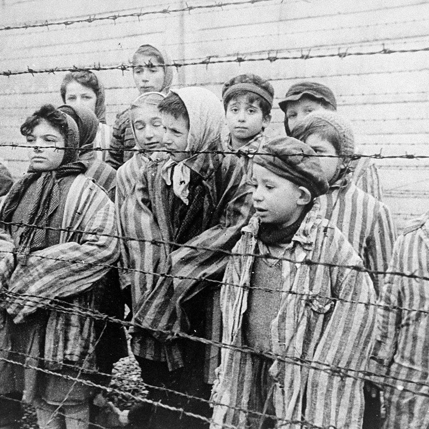 Fatal Months: Auschwitz and the End of the Second World War episode artwork