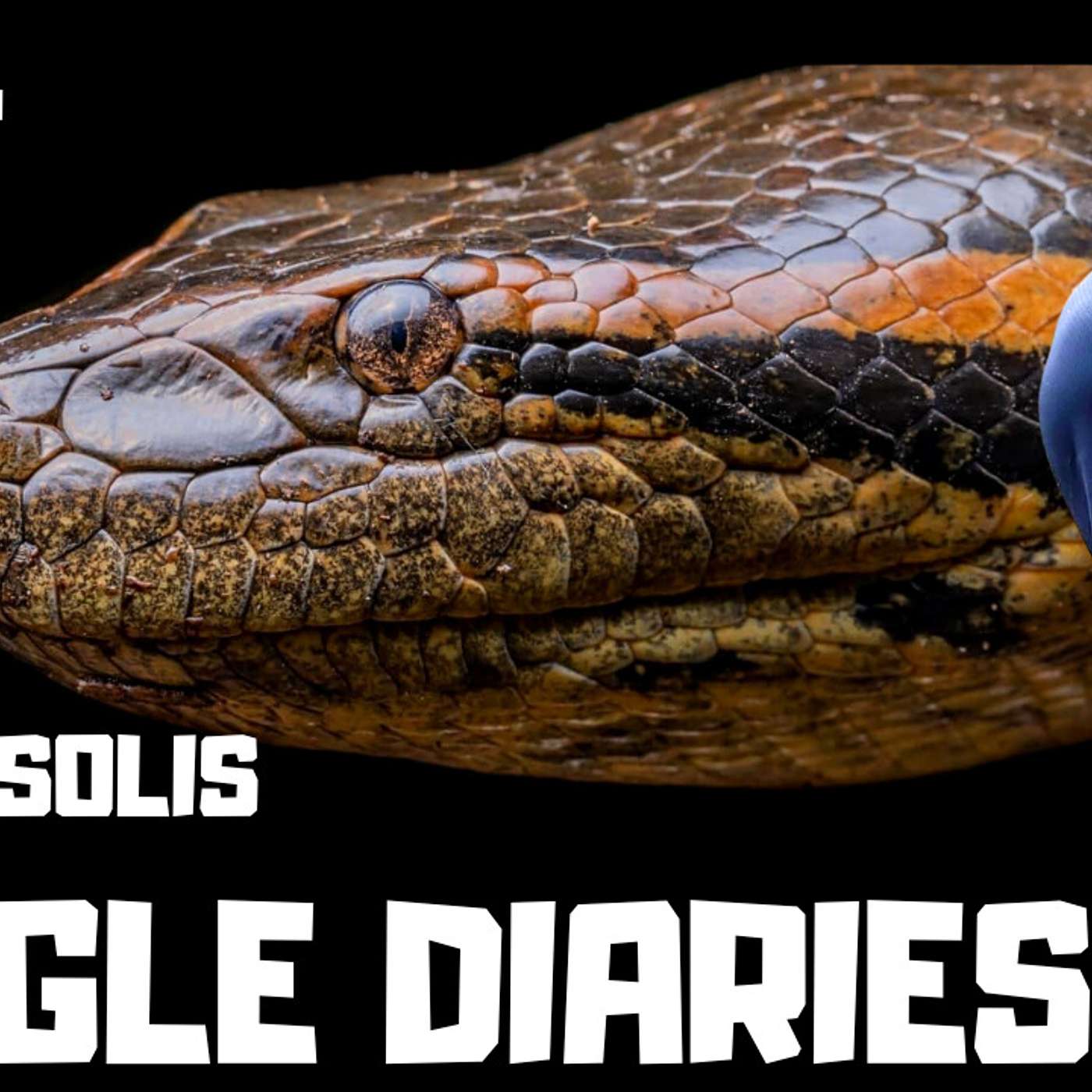 Daniel Solis Speaks On The Jungle Diaries & How To Travel With Little Money | The Reptile Factory