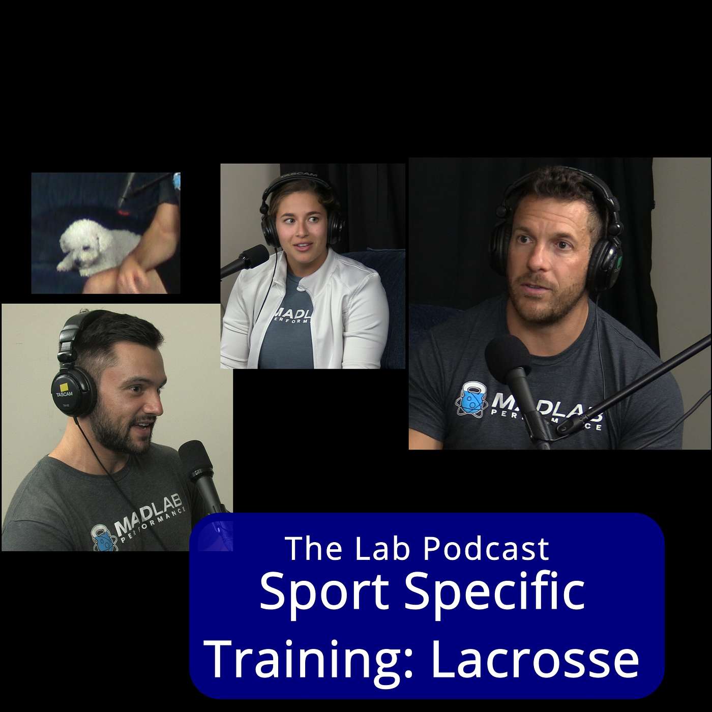 The Lab