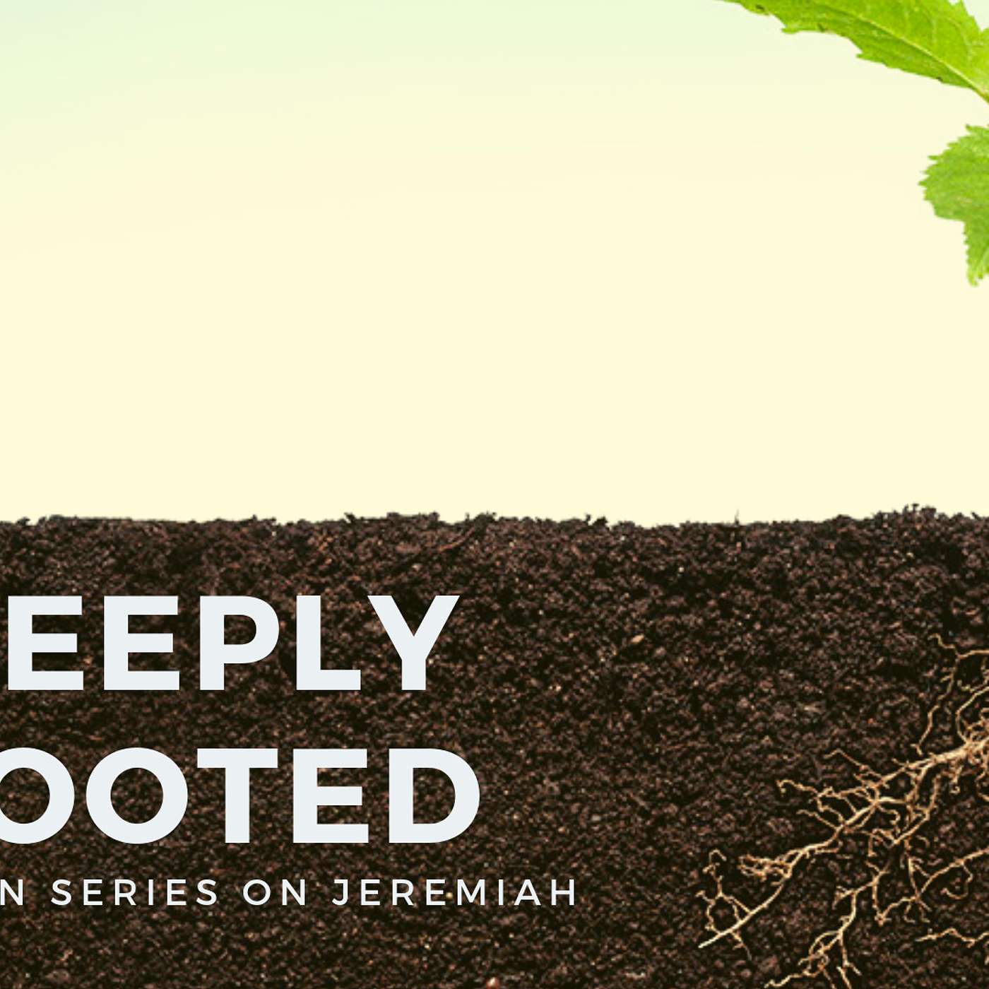 Deeply Rooted - Part 11 (feat. Mike Plunket)