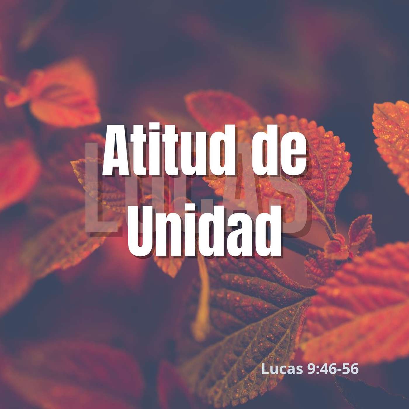 Atitud De Unidad