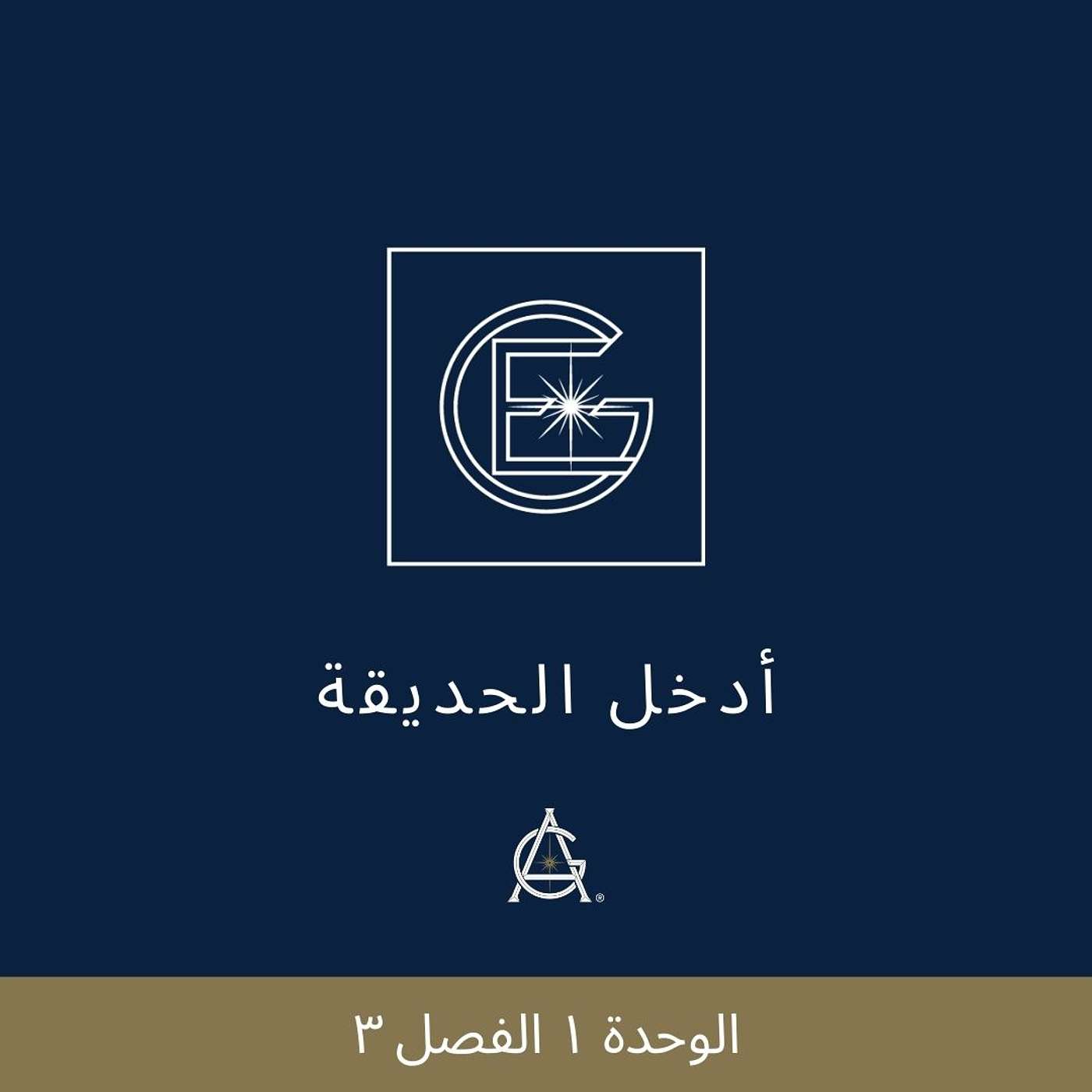 الوحدة ١ الفصل ٣ : سخرية أهمية الأنا