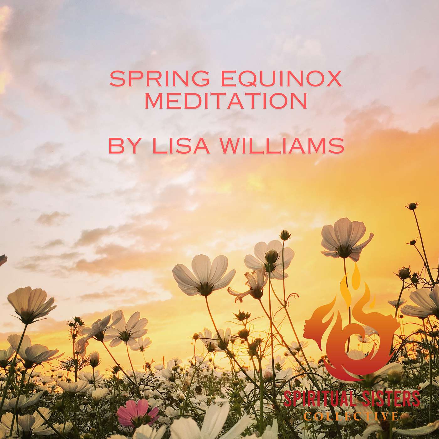 Raw & Real With Lisa Williams