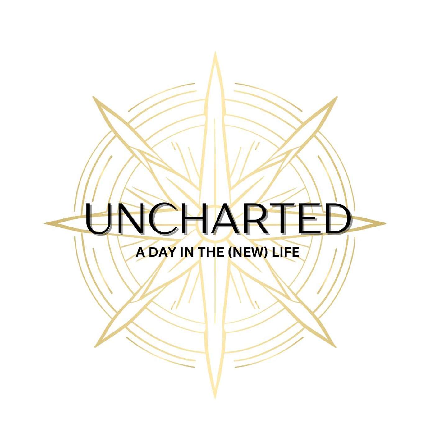 UNCHARTED : A Day In The (new) Life