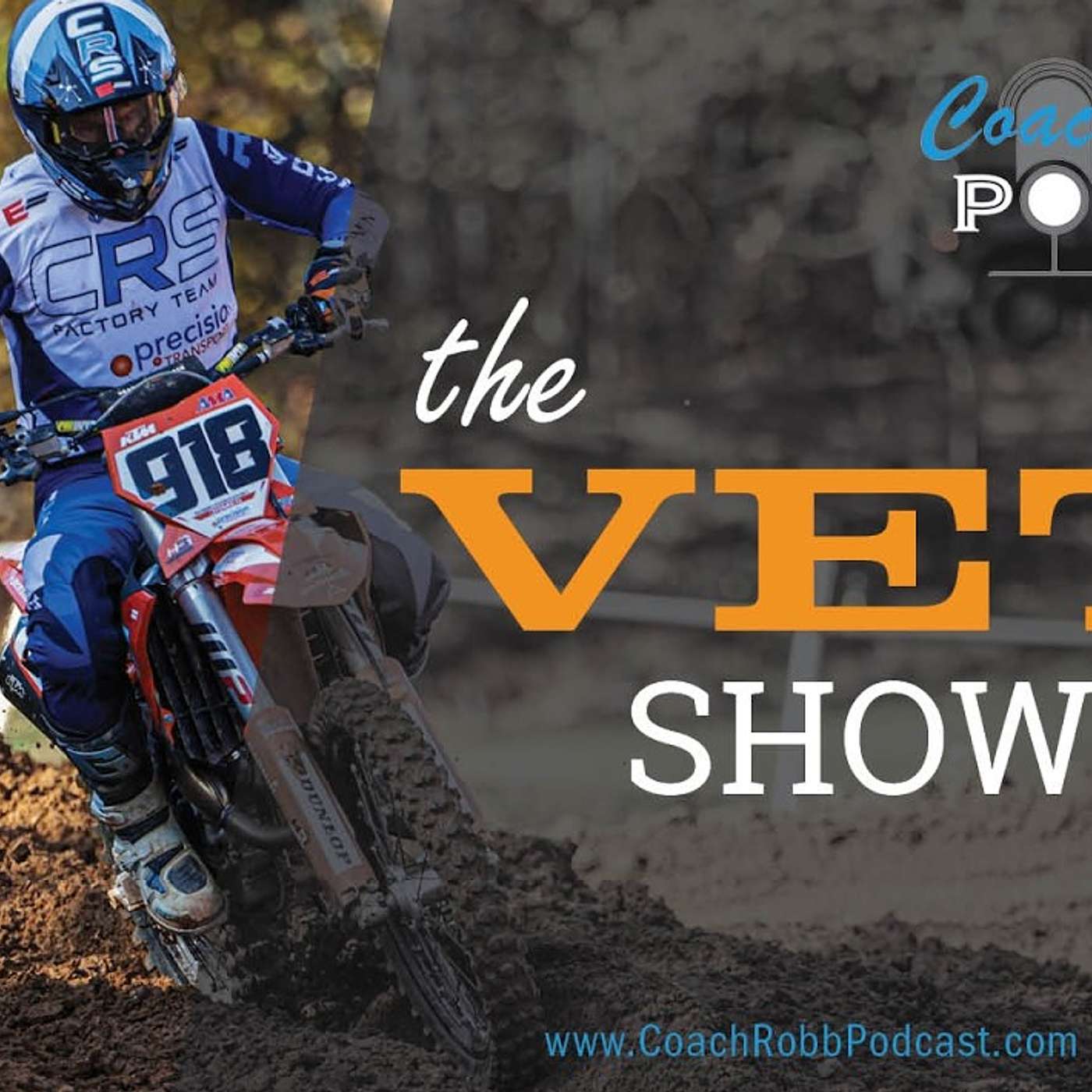 The Vet Show - Ep. 24: The Art of Recovery episode artwork
