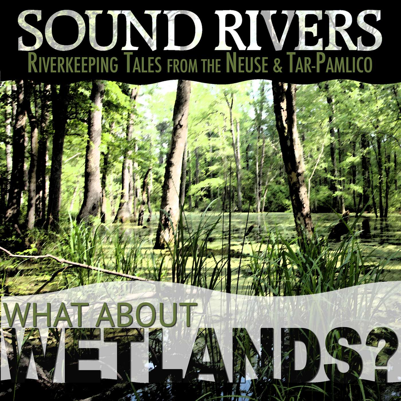 What About Wetlands?