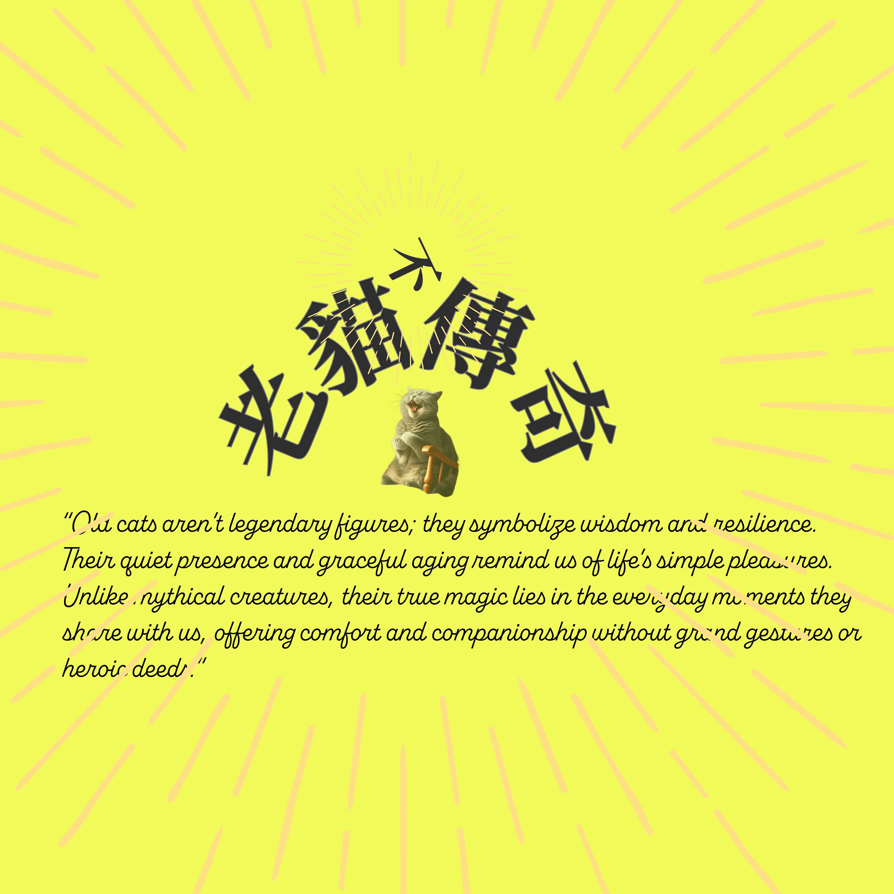 老貓不傳奇