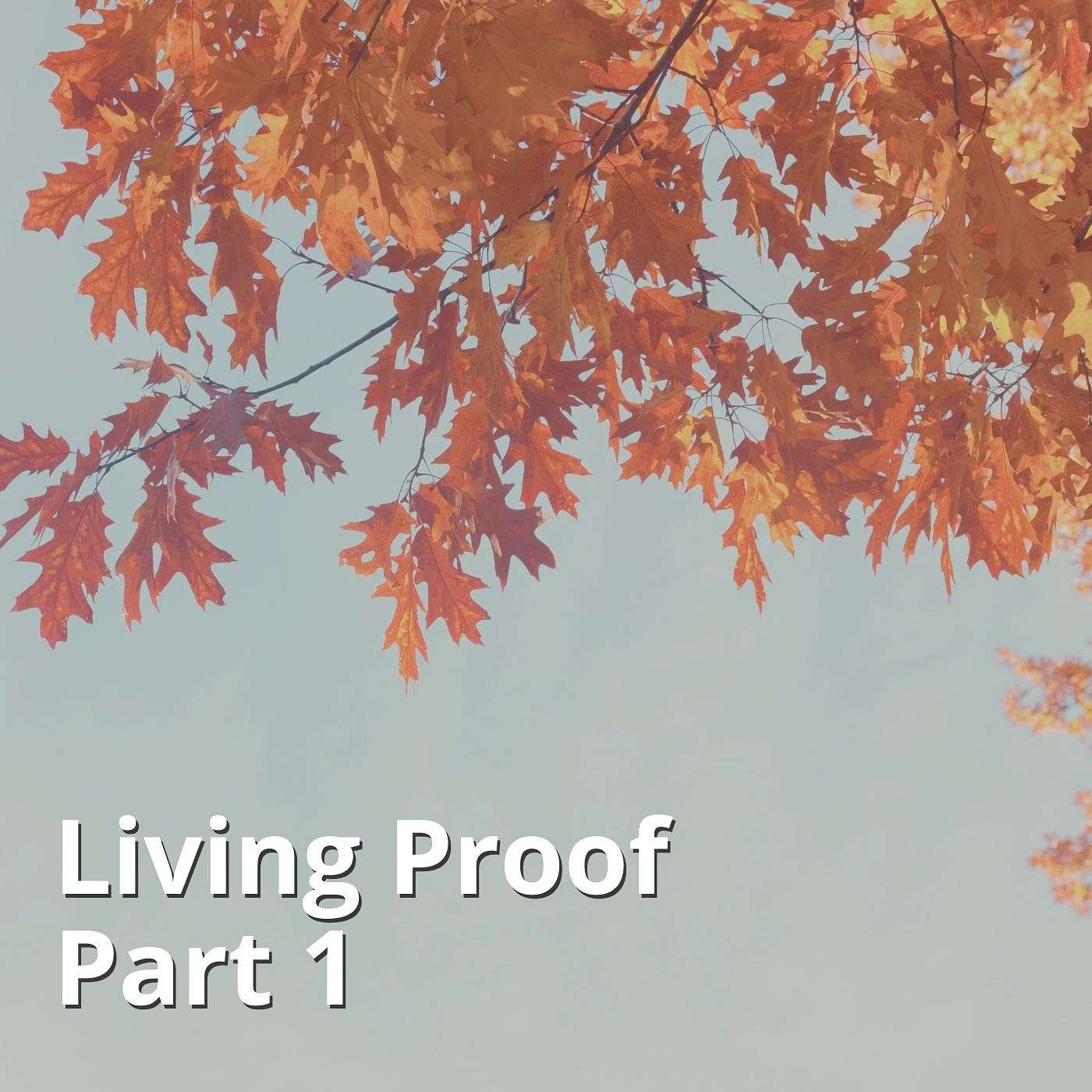 Disciple Making