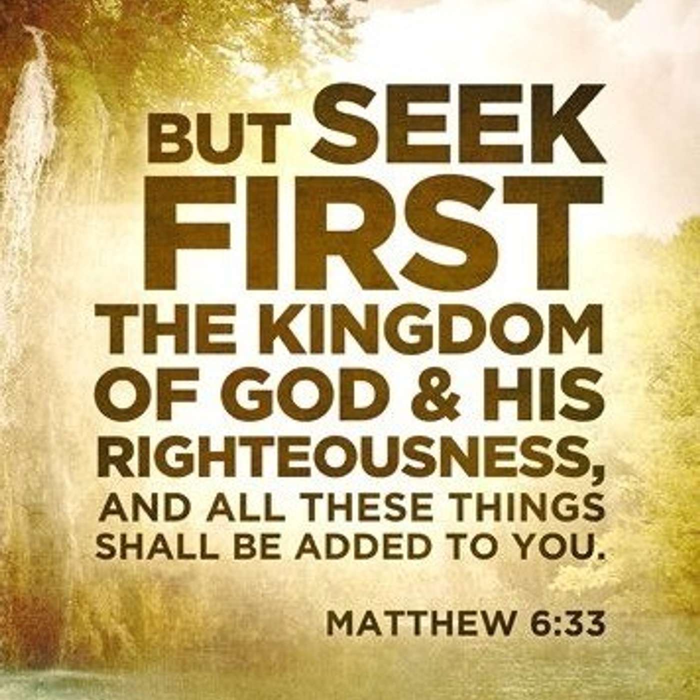 SEEKYEFIRST