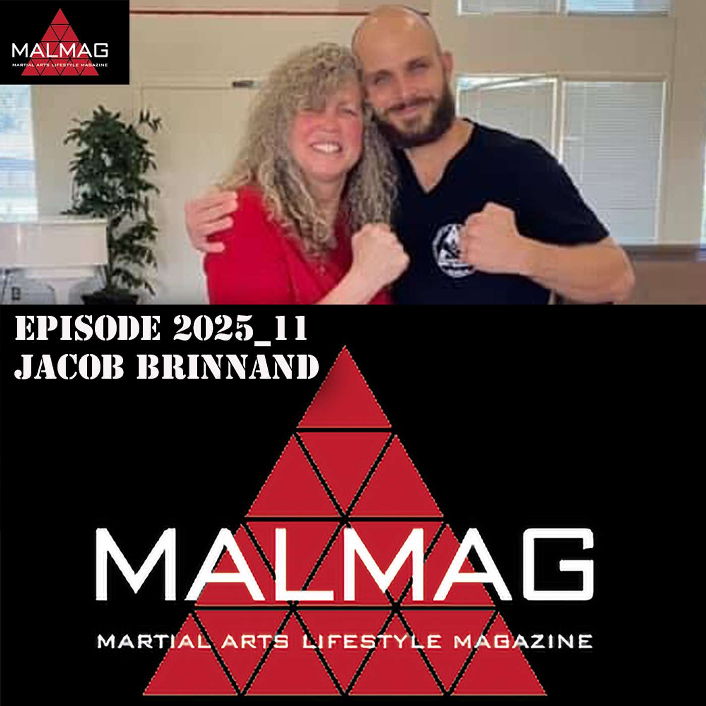 The Martial Arts Lifestyle Podcast