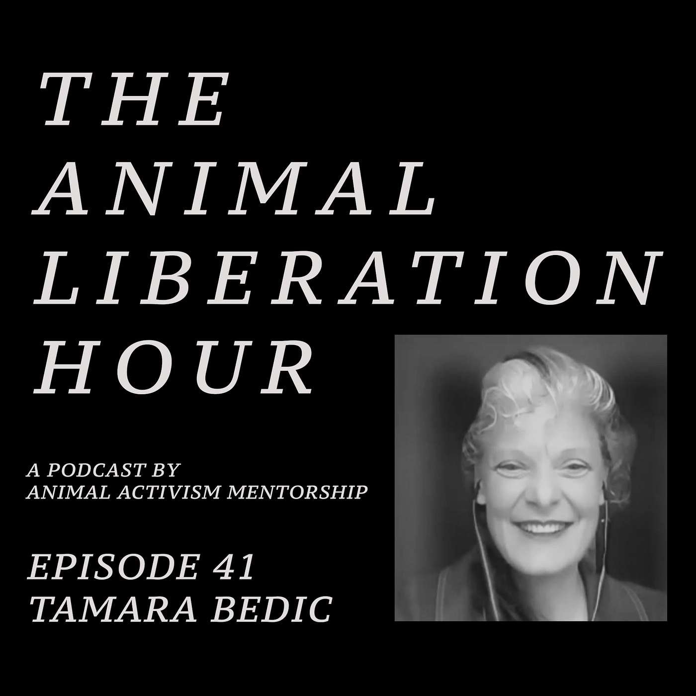 Episode 41 - Tamara Bedic