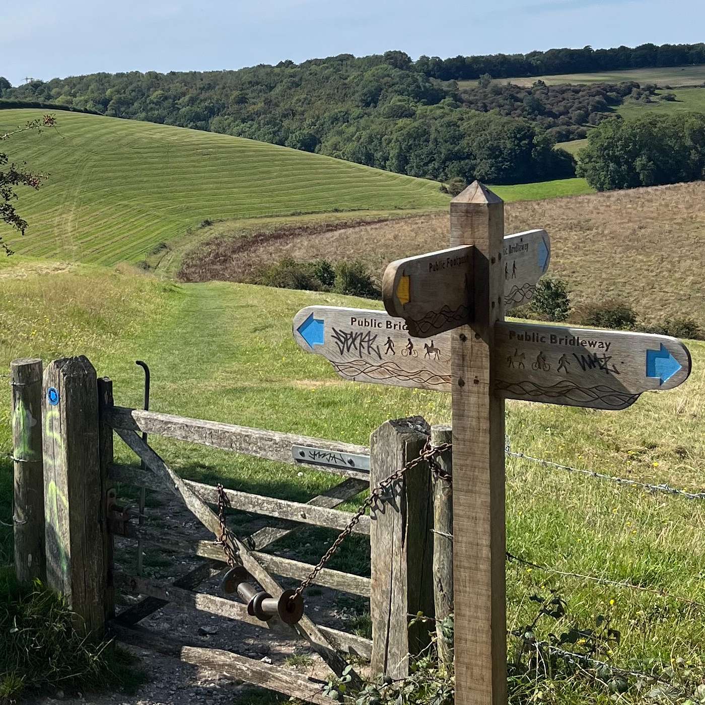 The South Downs Way: Sacred Walk