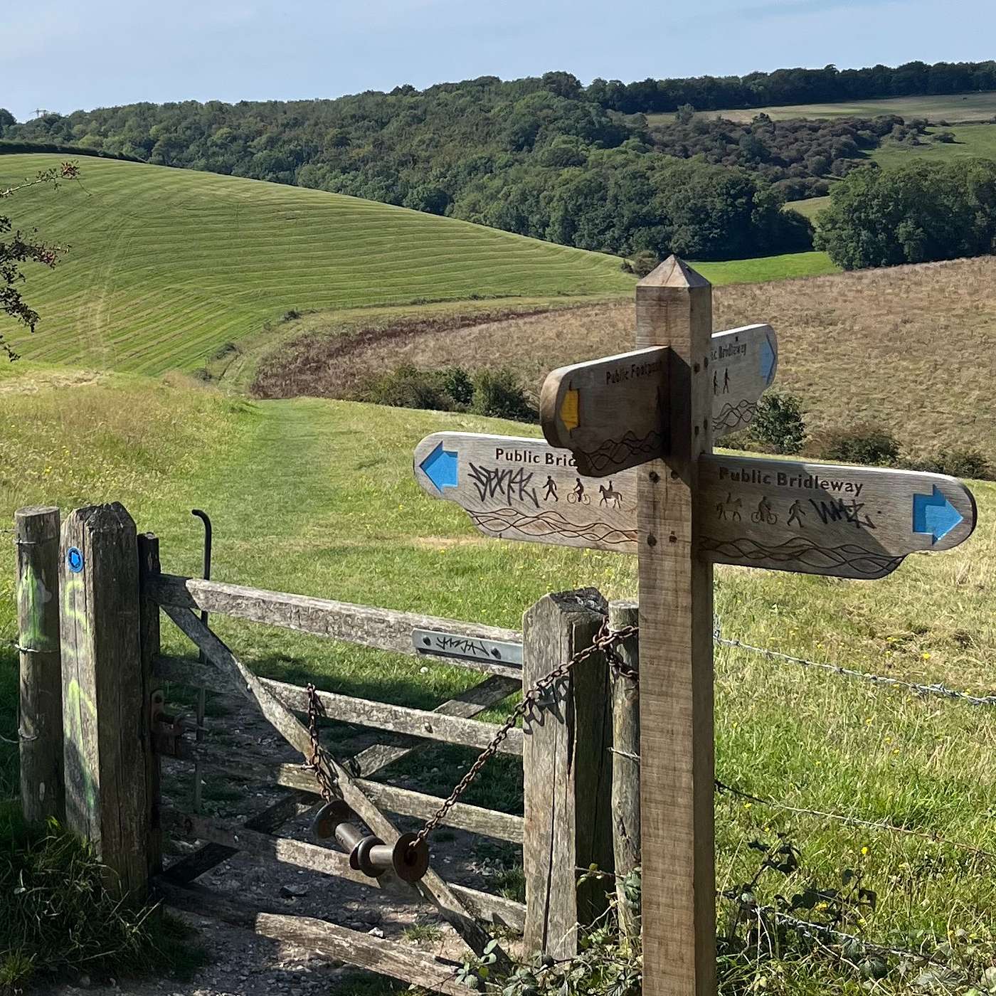 the story pilgrim - The South Downs Way: Sacred Walk