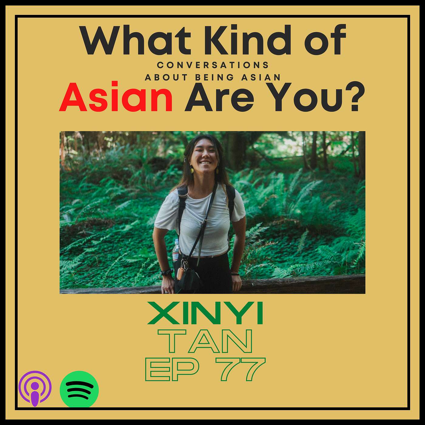 The Creative Chimera - XinYi Tan / Don't Be Strangers Podcast / Ep 77 episode artwork