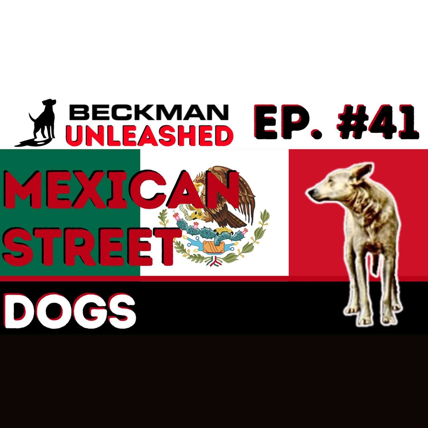 Ep. 41 - If you think the life of Mexican Street Dogs is hard, you won't believe who has is worse!