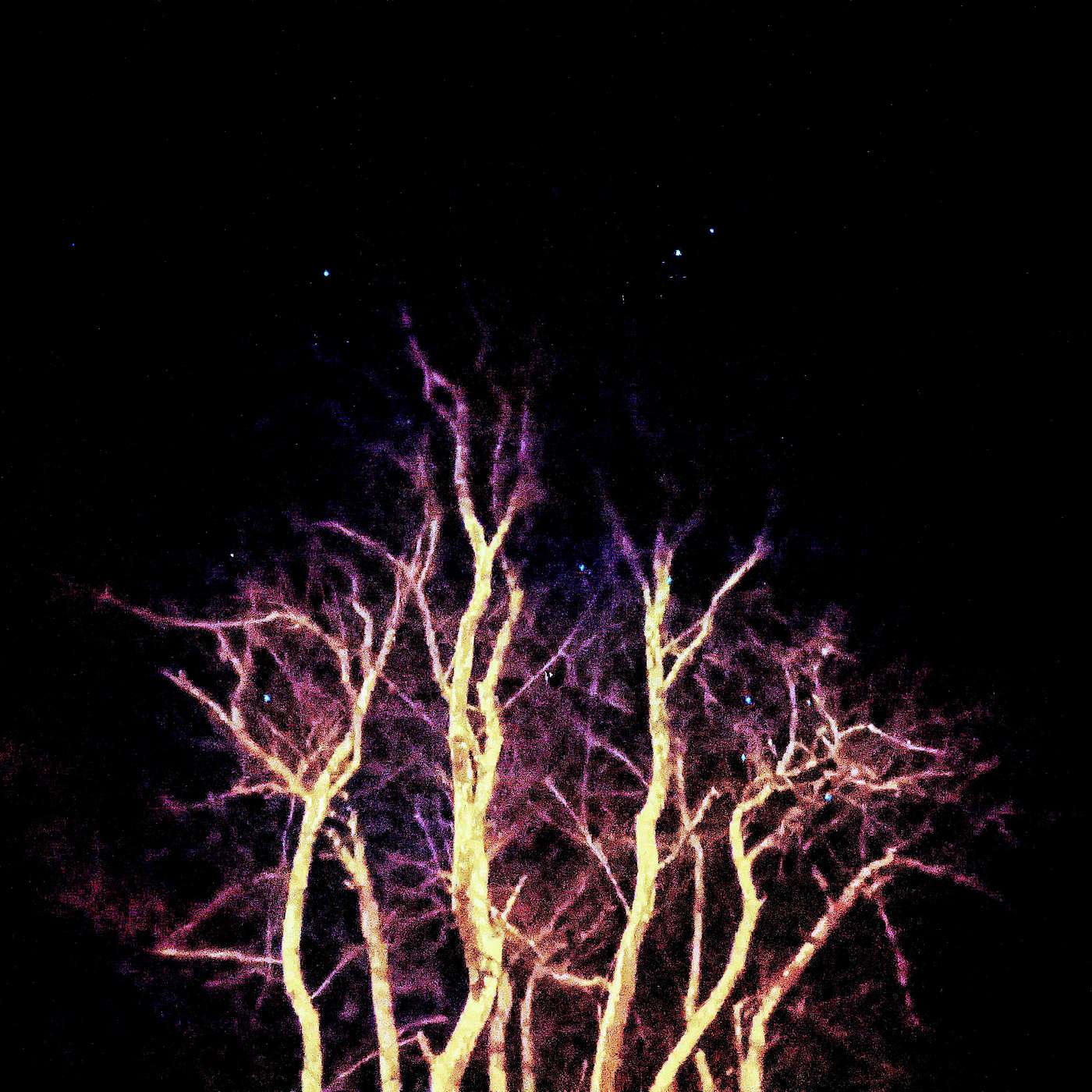 Milk, Eggs and Fabric Softener