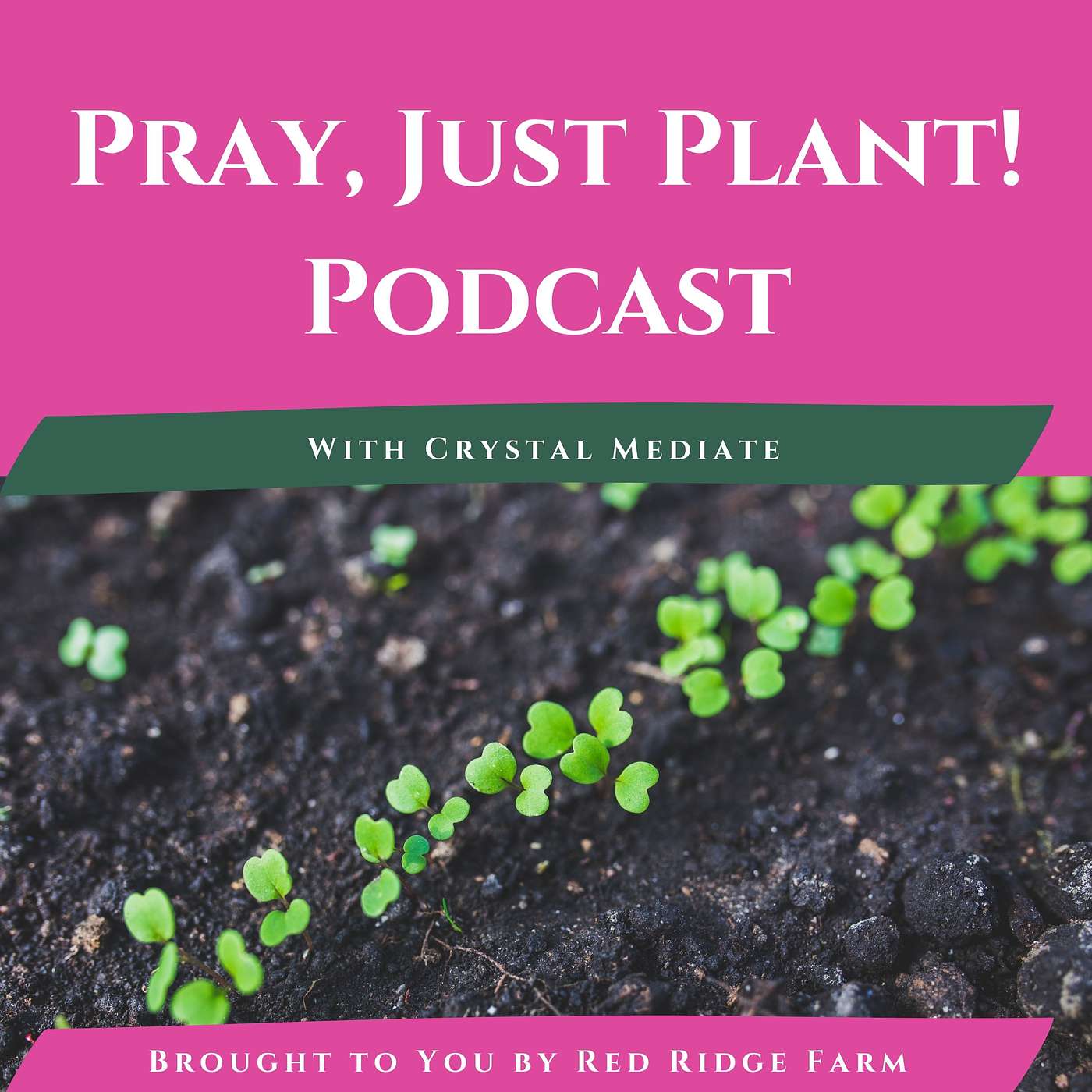 Garden Planning | How Your Simple Garden Plan May Be Holding You Back