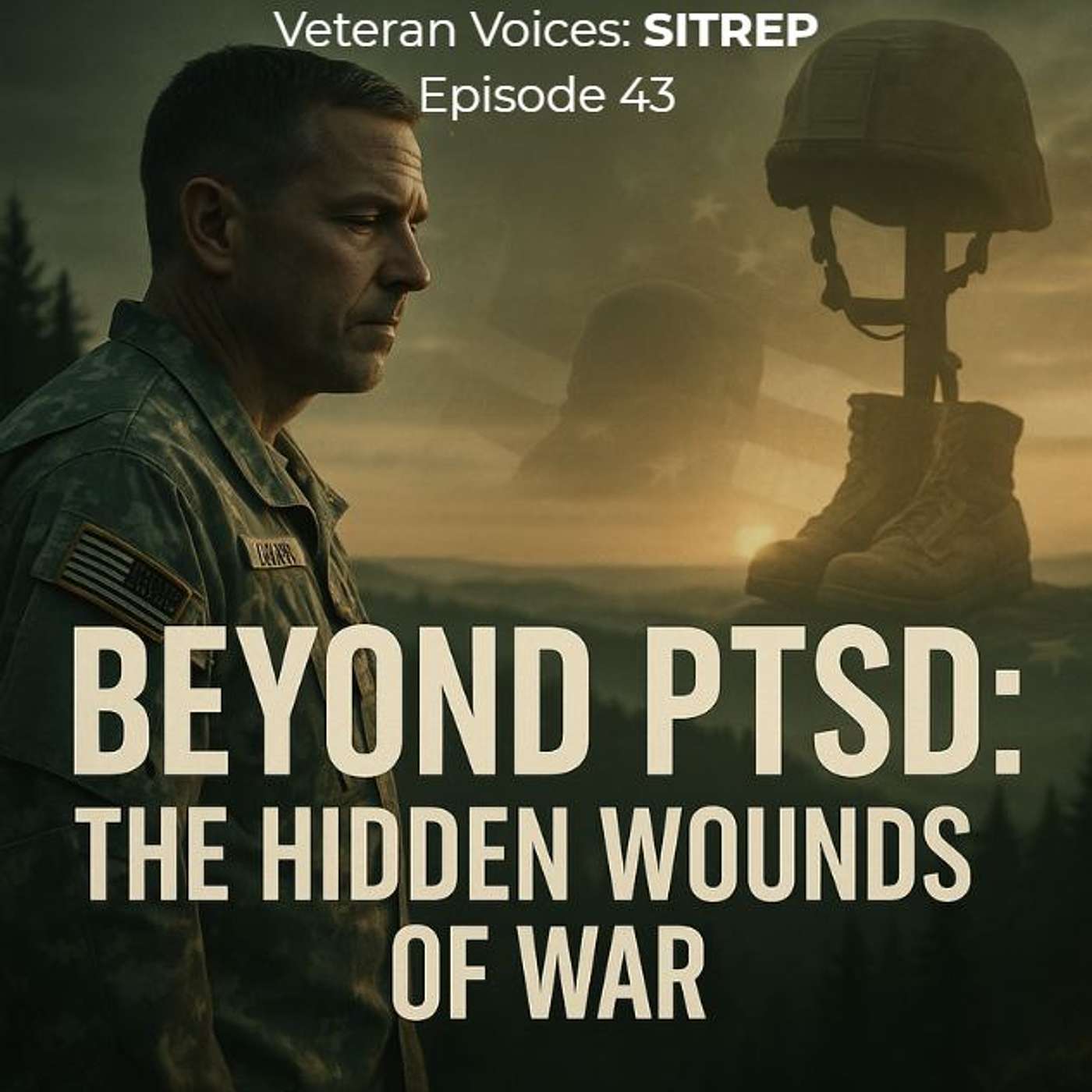 Veteran Voices: SITREP