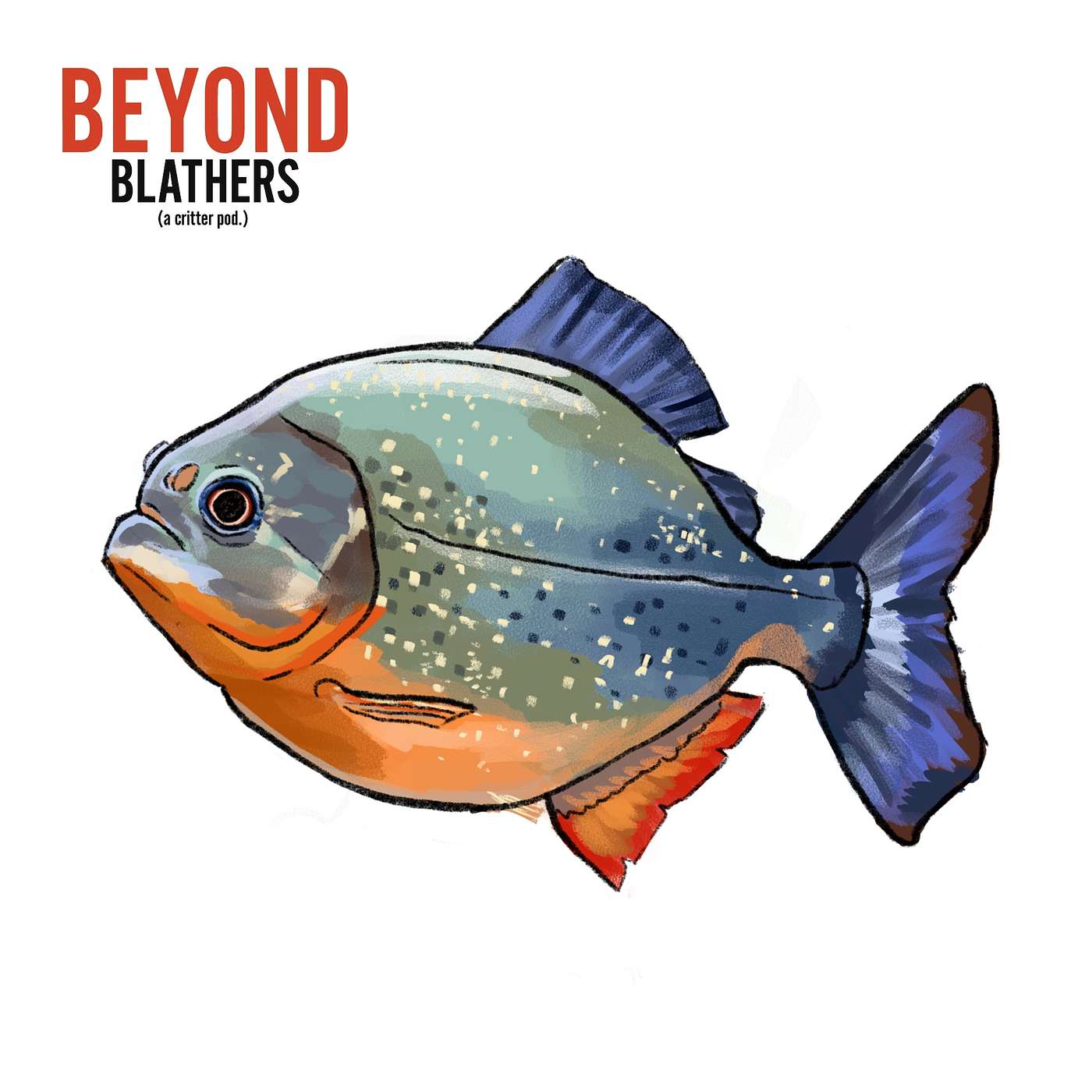 Beyond Blathers