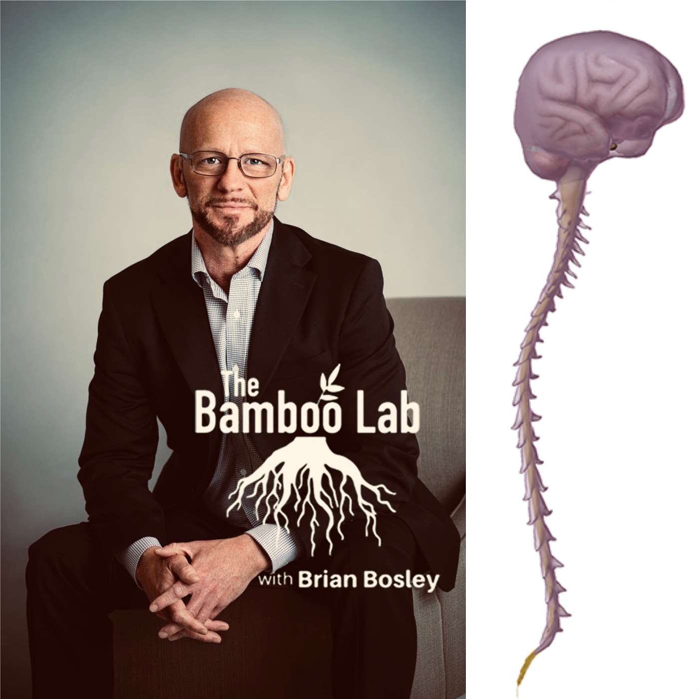 Dr. Ben Gillis: 