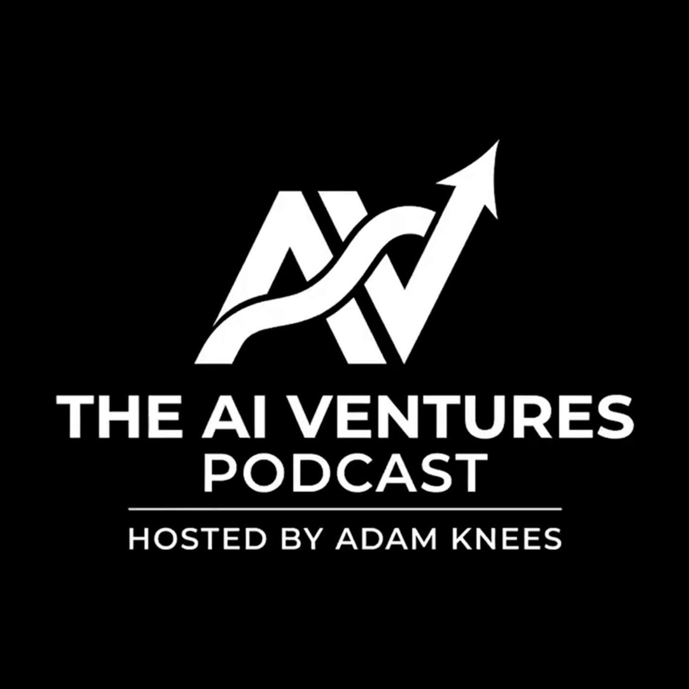 The AI Ventures Podcast: In Person Interviews With Silicon Valley's Leading VC Backed AI Founders