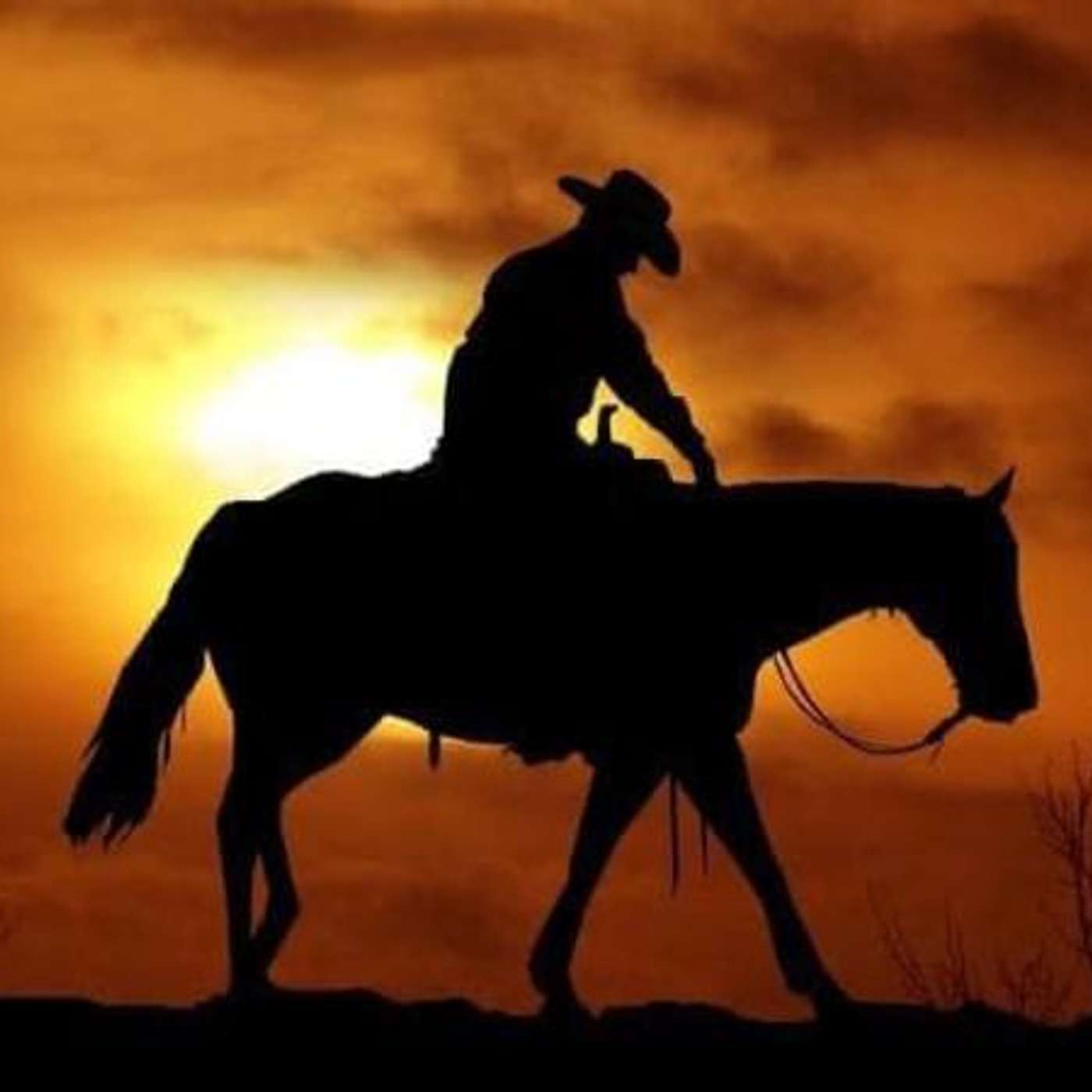 The Story of THE LAST COWBOY with R W HAMPTON on EQUESTRIAN LEGACY RADIO