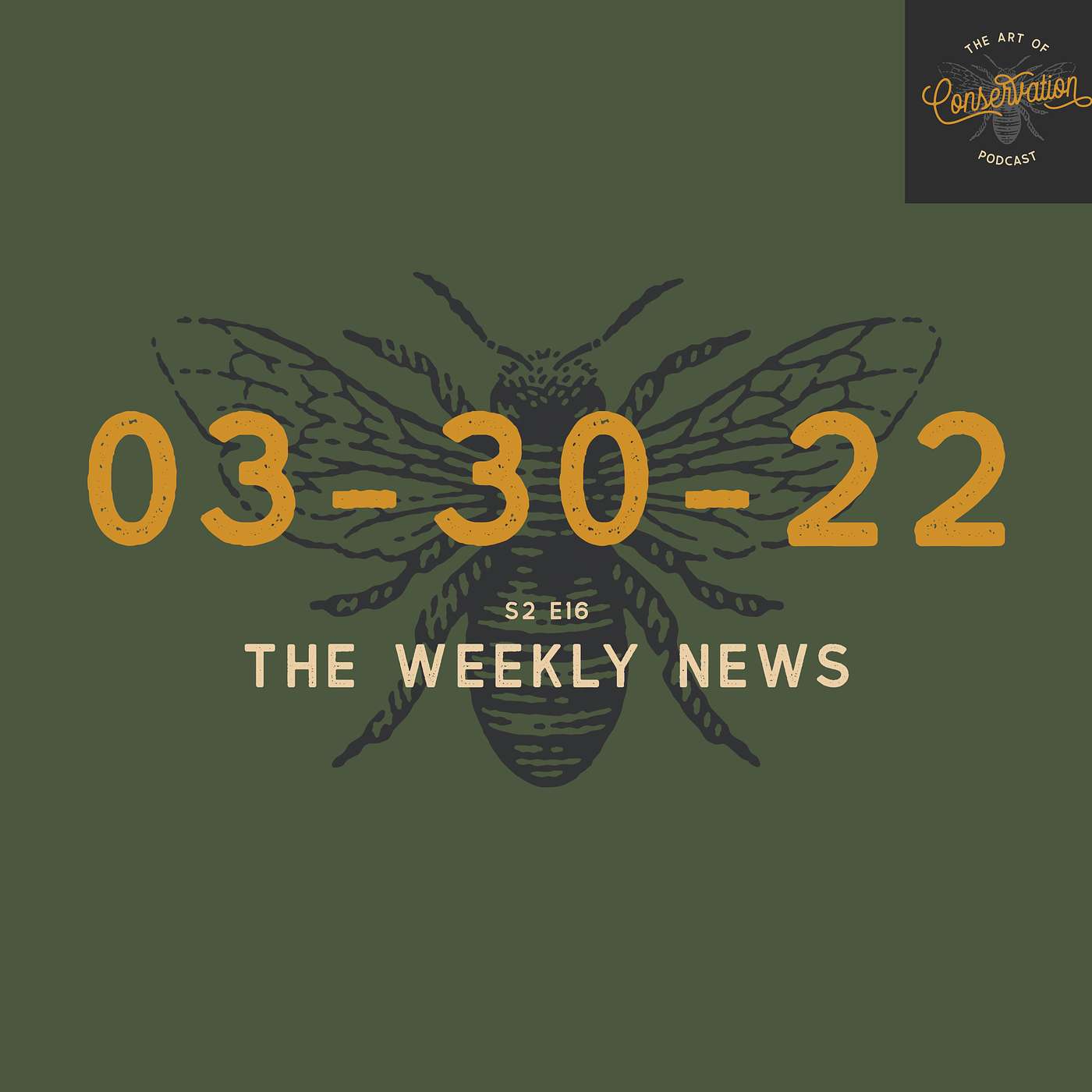 S2 E16 - The Weekly News 03-30-2021 with Simon Borchert, Shannon Elizabeth & Peter Borchert