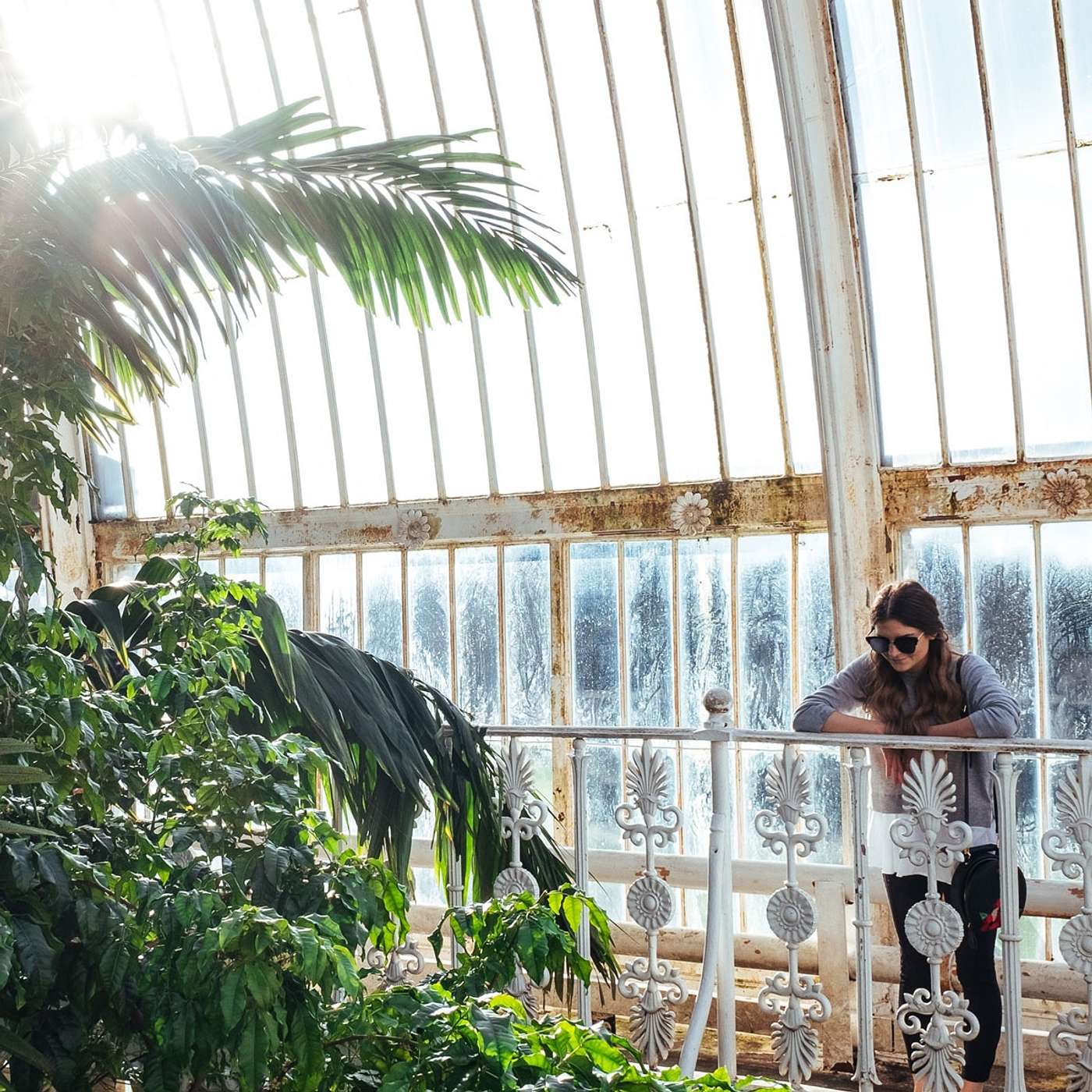 Gardens of Empire: The Role of Kew and Colonial Botanic Gardens episode artwork