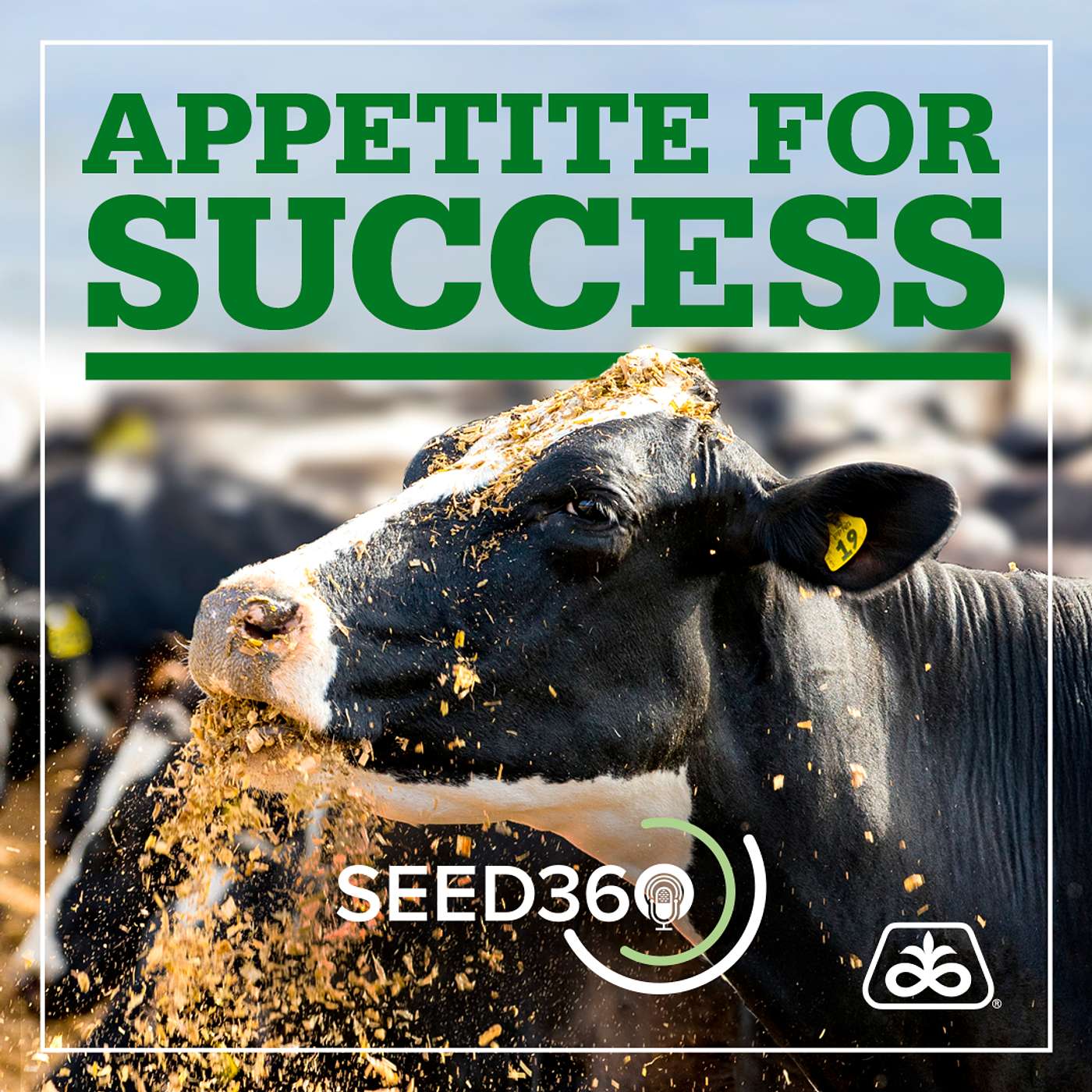 Part 2: Appetite for Success with Dr Bill Mahanna
