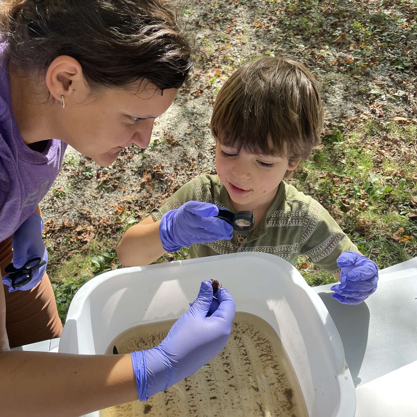 Dragonfly Nymphs and the National Park Service at Mastuxet Brook