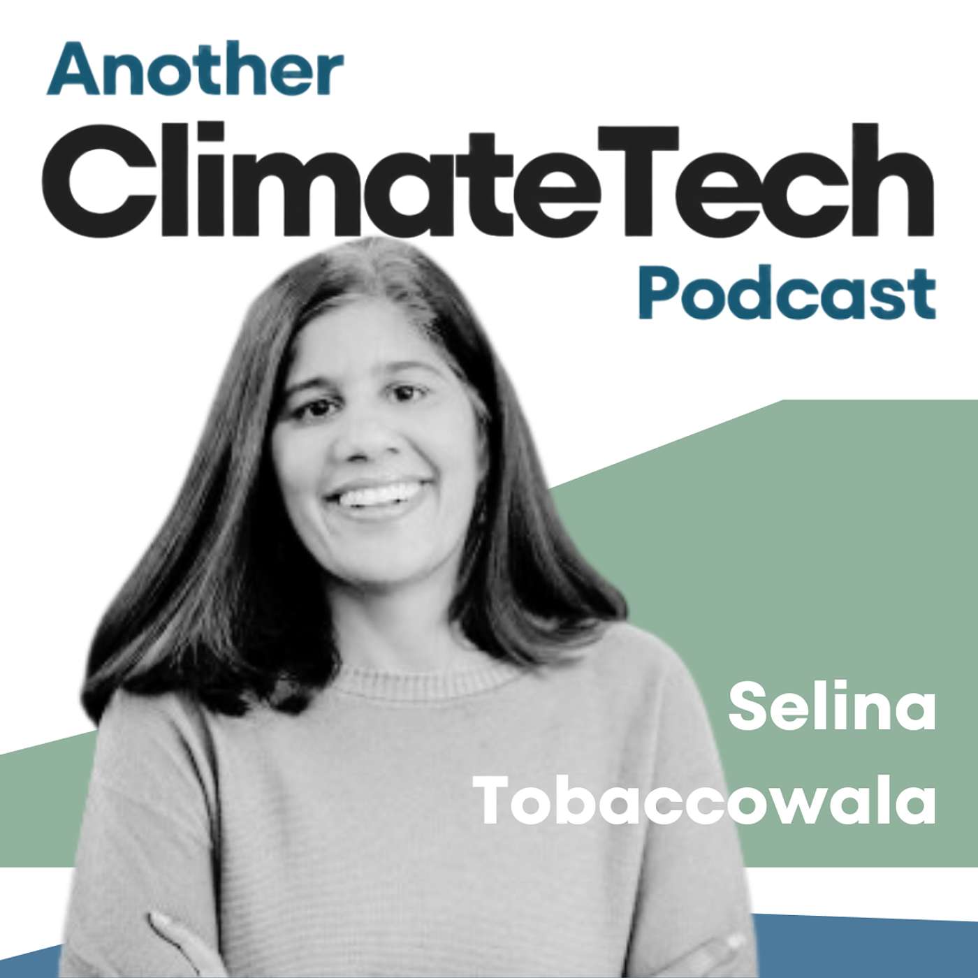 Another ClimateTech Podcast