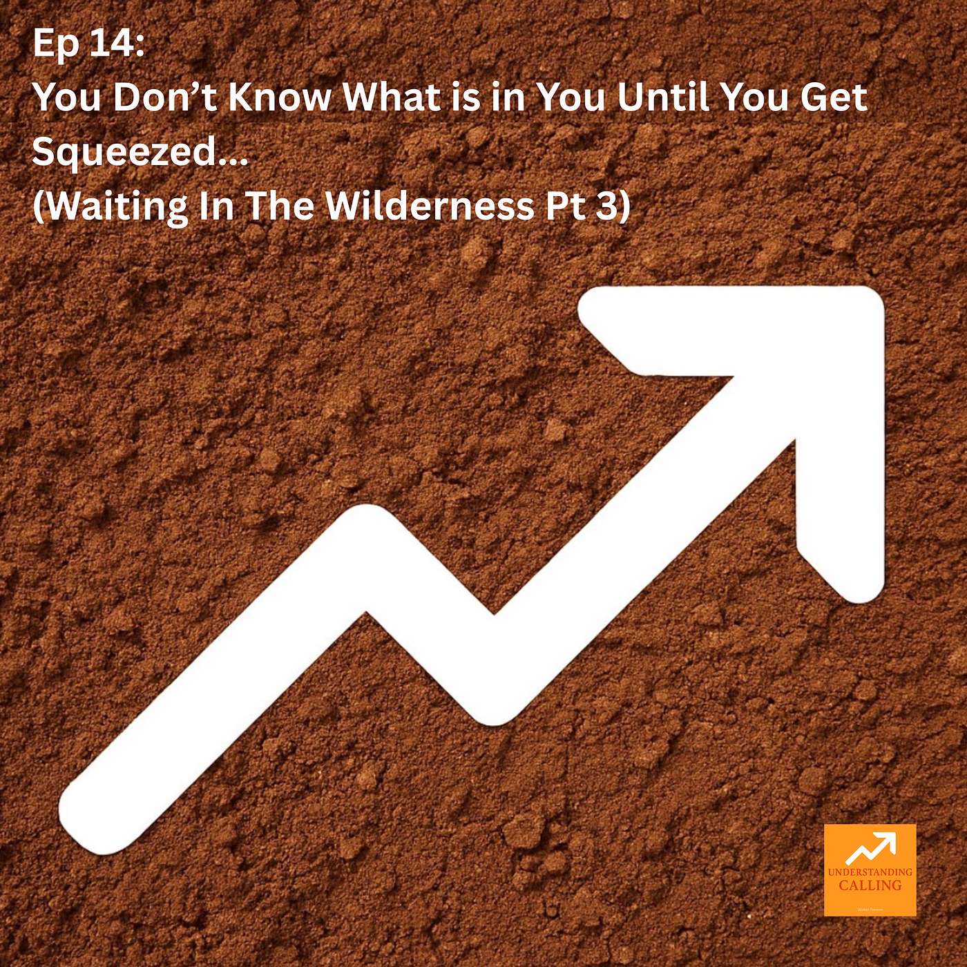 Ep 14: Insecurities and Why You Don’t Know What Is In You Until You Get Squeezed...(Waiting In The Wilderness Pt 3)