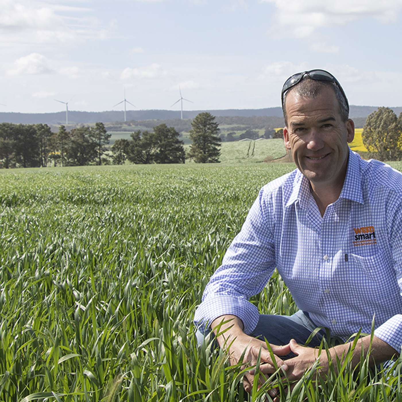 Regional Update - Chris Davey, WeedSmart Southern Extension Agronomist