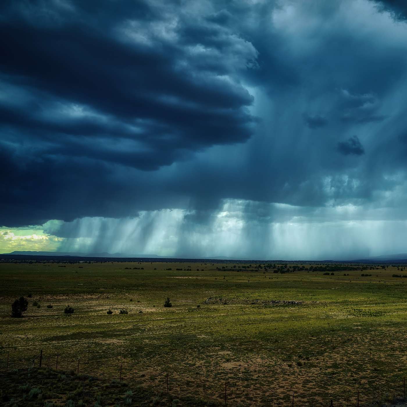 Come Rain or Shine