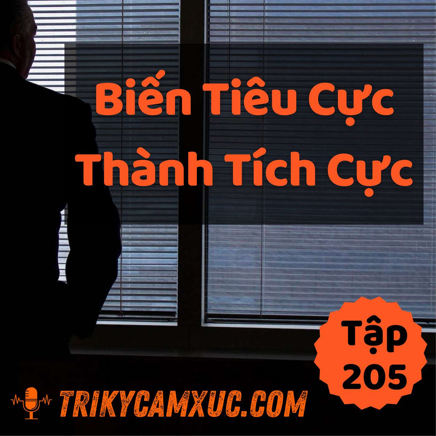 Biến Tiêu Cực Thành Tích Cực - Tri kỷ cảm xúc #205
