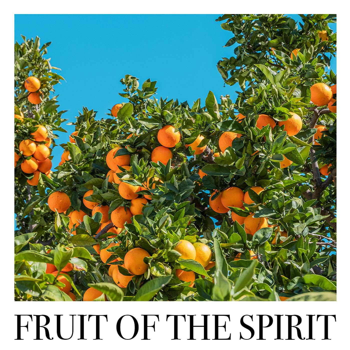 Fruit of the Spirit: JOY