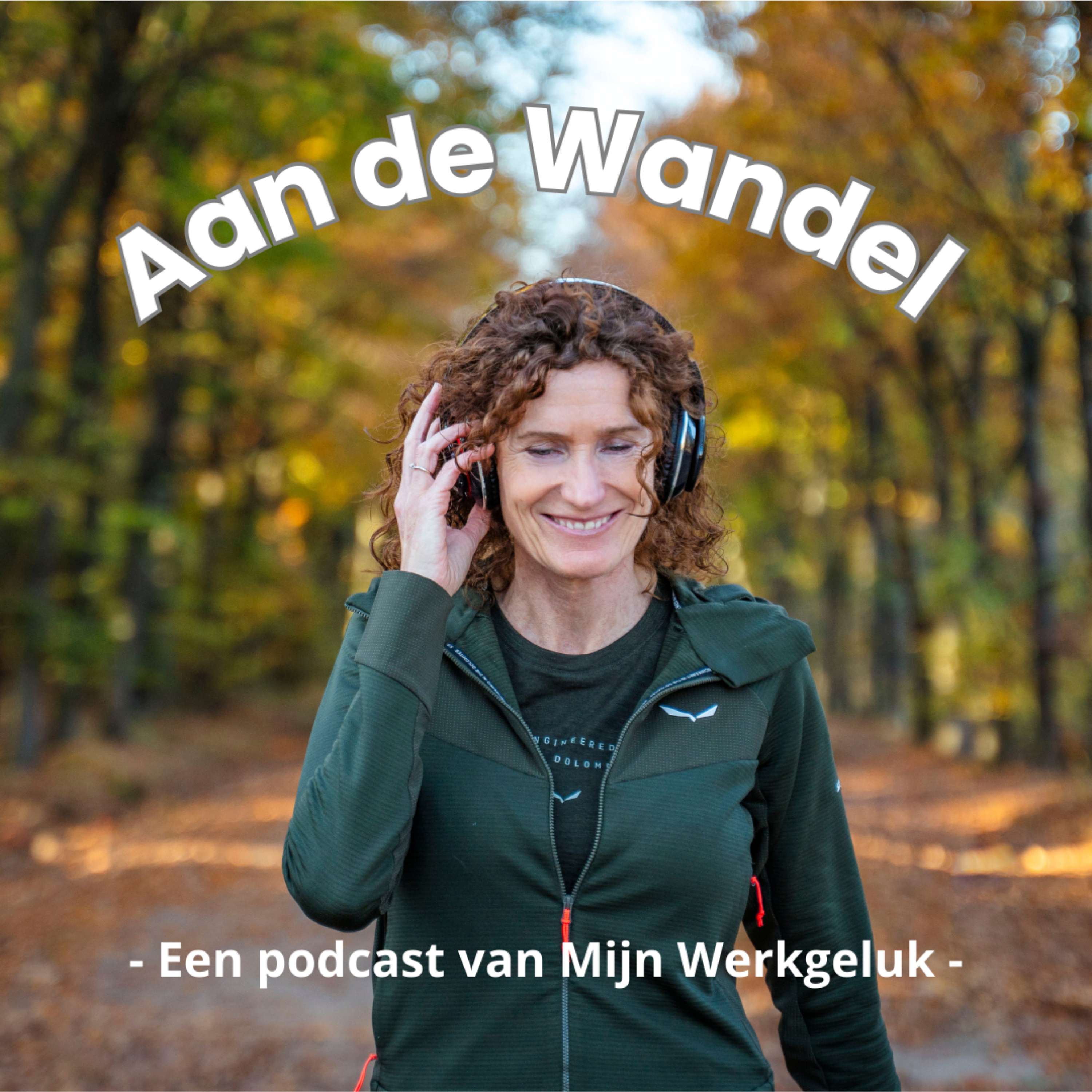 Aan de Wandel cover art
