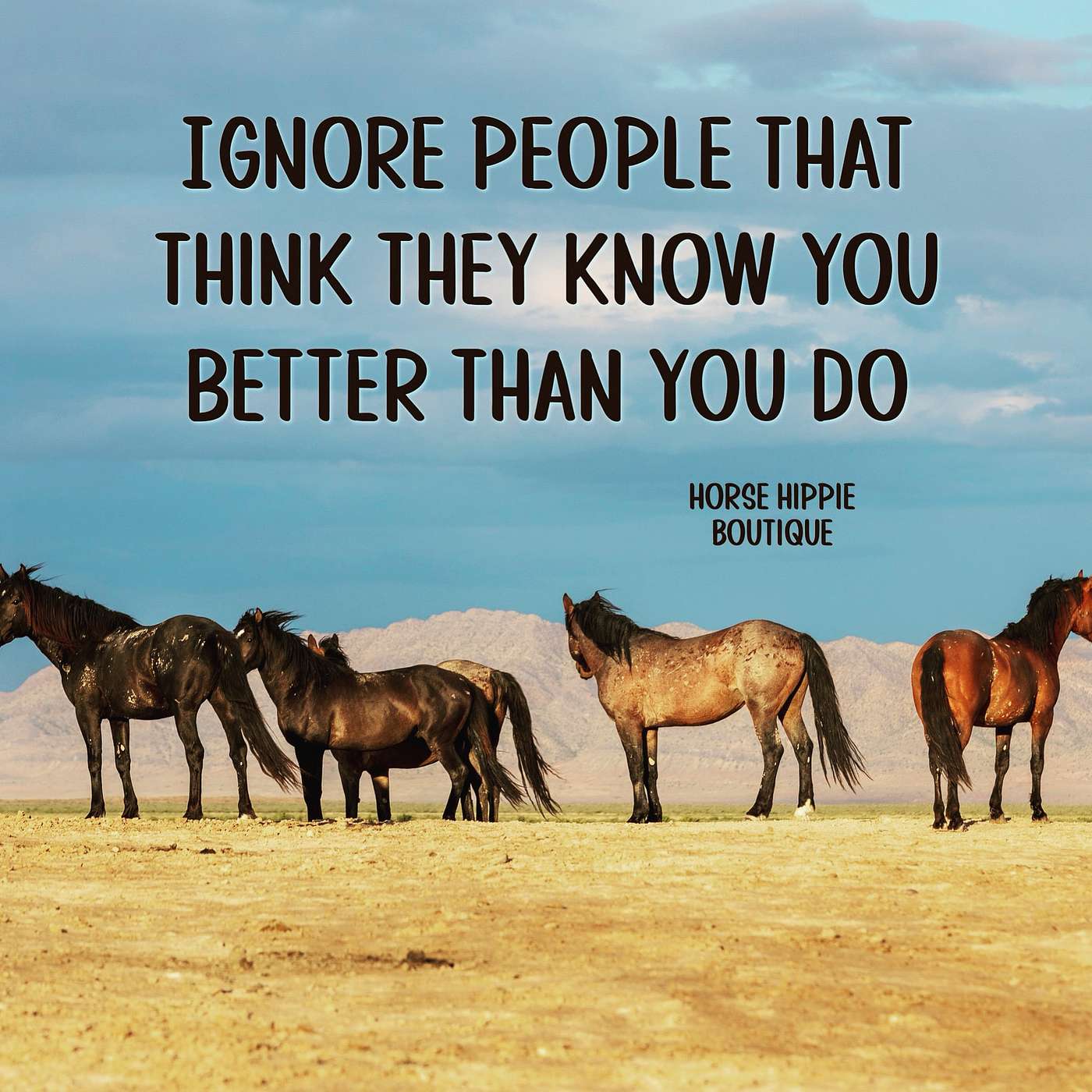 Ignore the Haters episode artwork